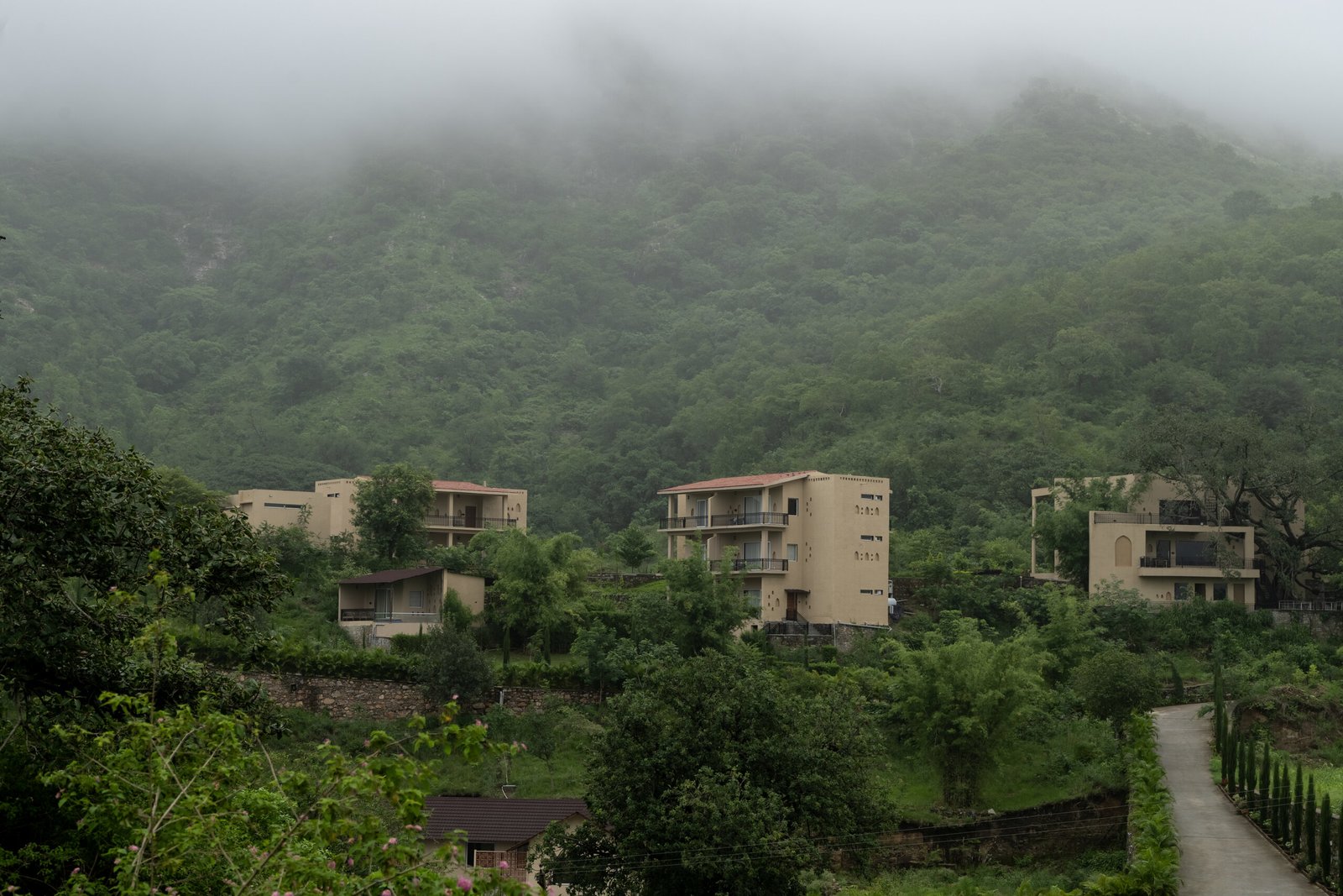 Mist over the Aravalli hills at The Talhati